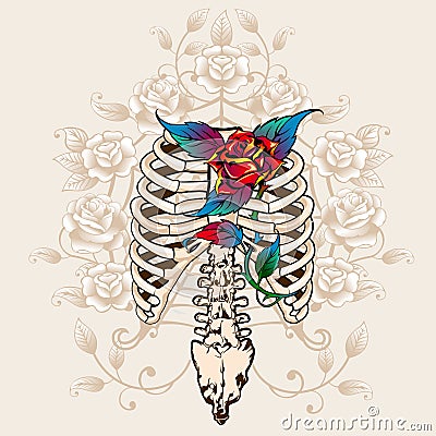 Spine bones and roses Vector Illustration